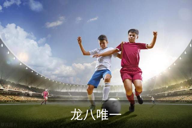 龙八唯一公司简介
